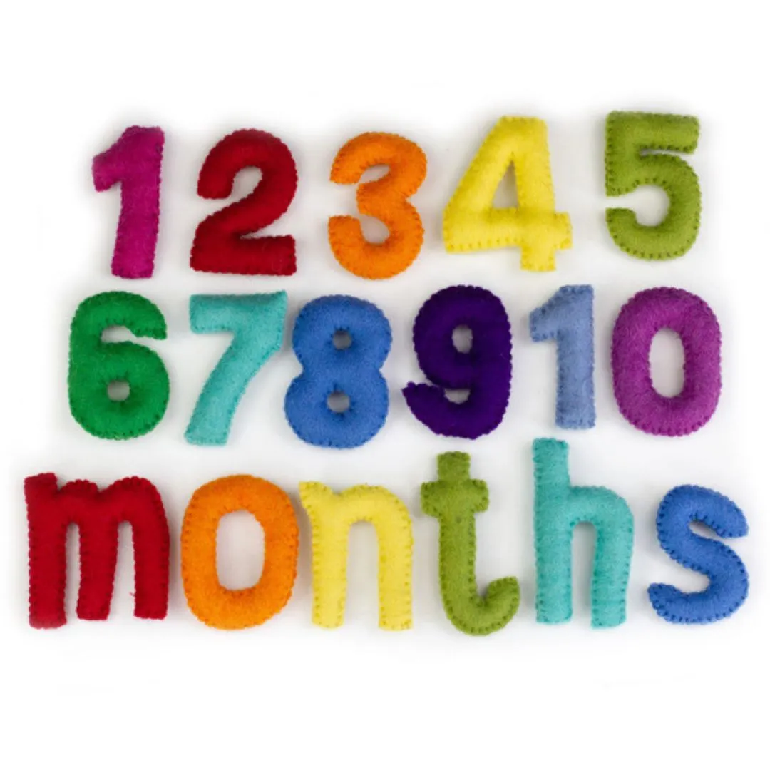 Monthly Milestone or Number Counting Set- Rainbow