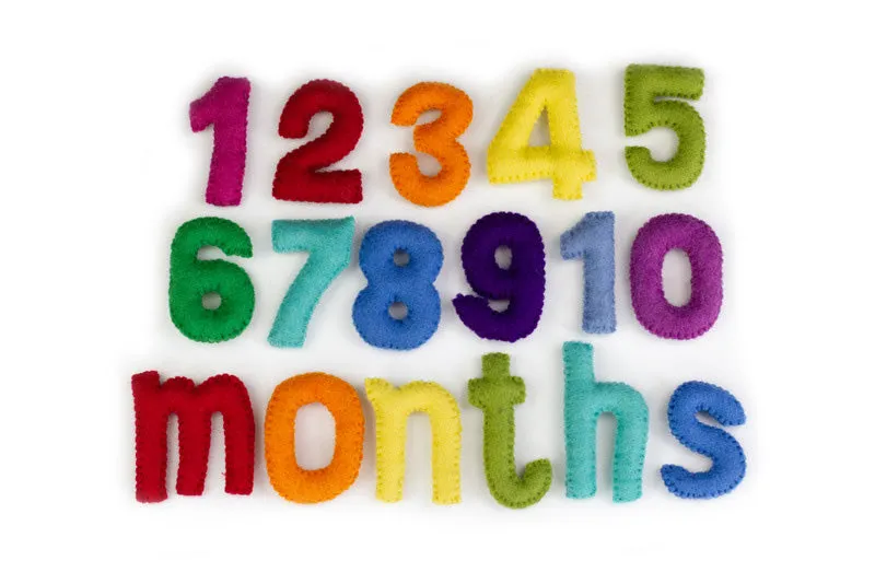 Monthly Milestone or Number Counting Set- Rainbow