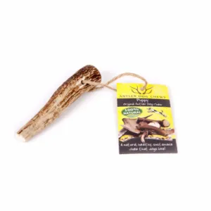 Puppy Antler Chew