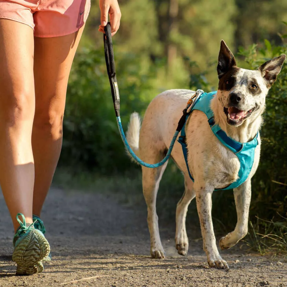 Ruffwear Knot-a-Long Reflective Rope Traffic Dog Leash (Granite Gray)